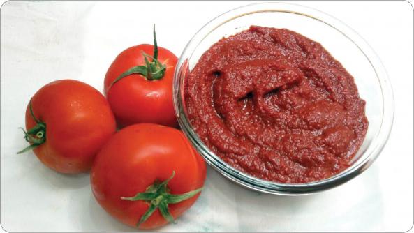 سفارش عمده رب گوجه فرنگی بریکس 27