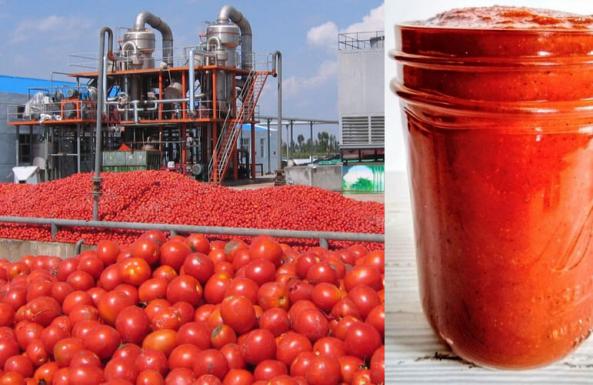رب گوجه فرنگی چه ترکیباتی دارد؟