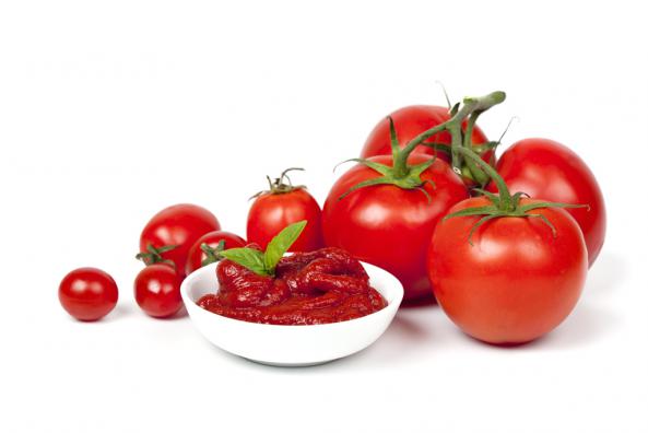 الزامات مورد نیاز برای صادرات رب گوجه